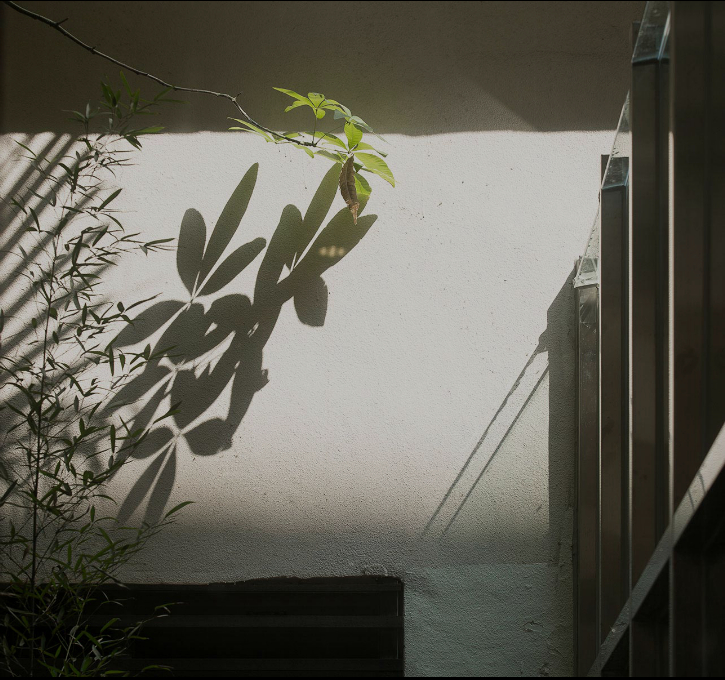 山景風(fēng)格辦公室裝修效果圖-第10張圖片-上海古都建筑設(shè)計集團(tuán)